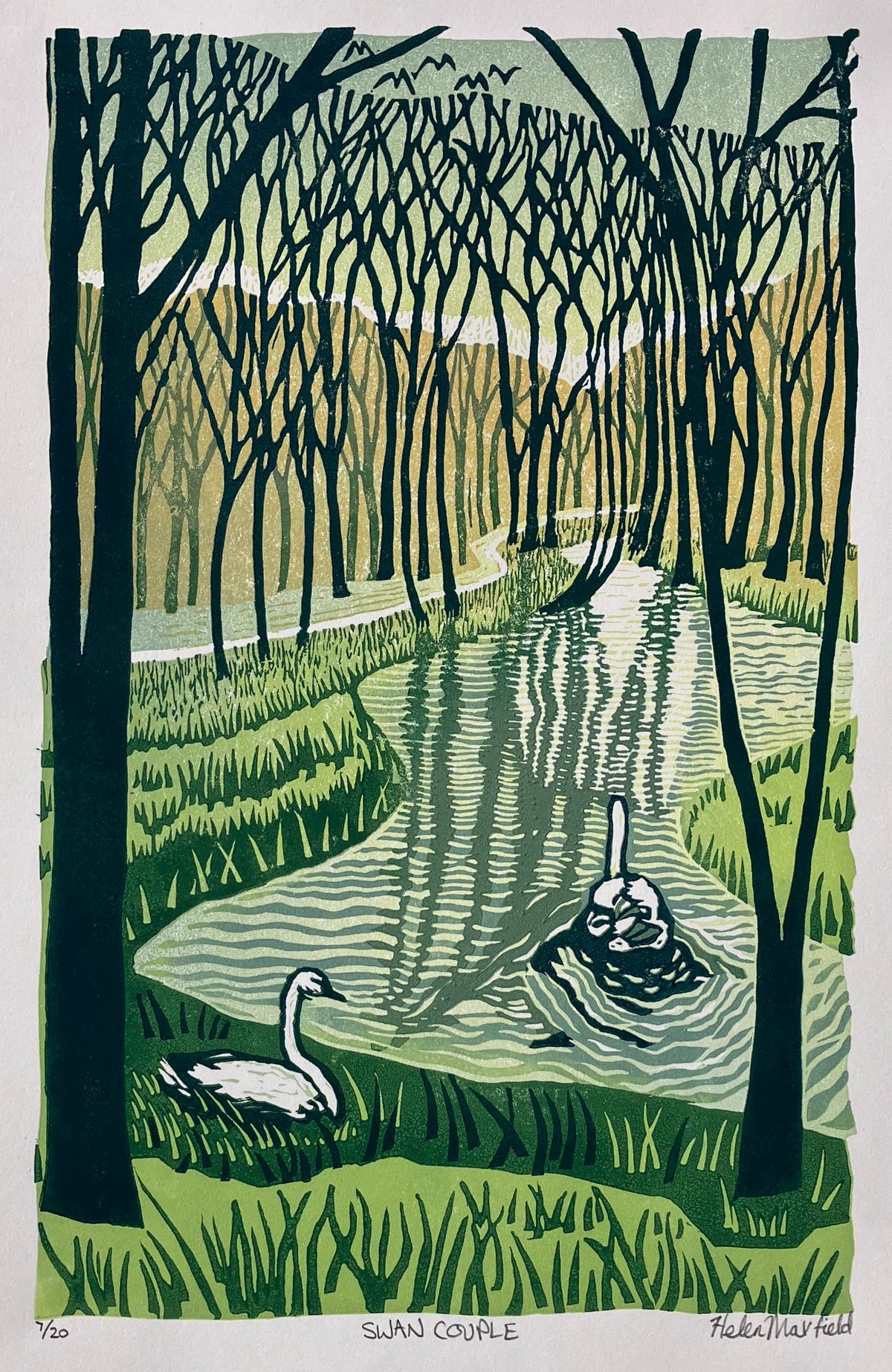Swan Couple