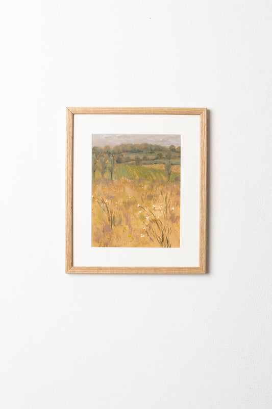 Birch Meadow