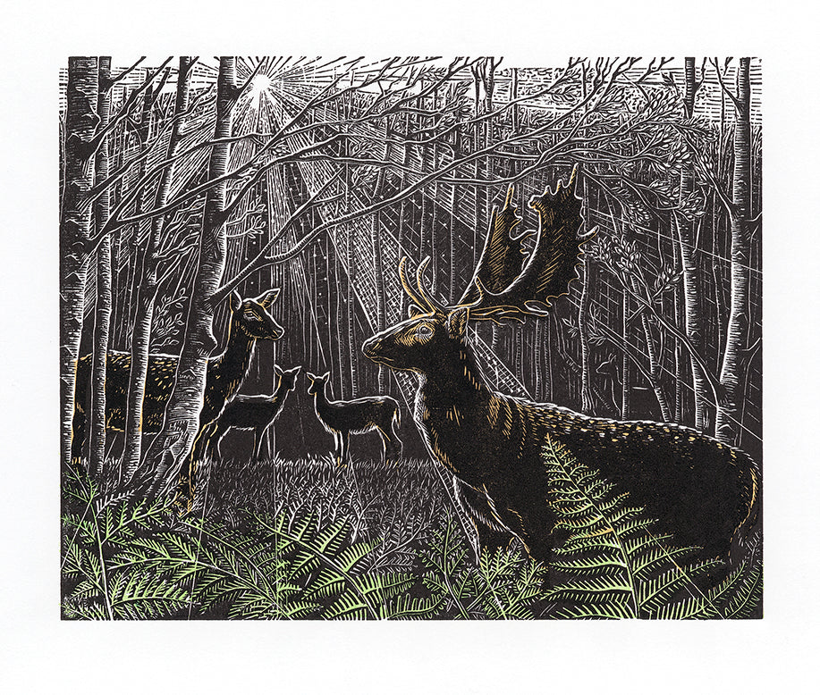A Rangale of Deer