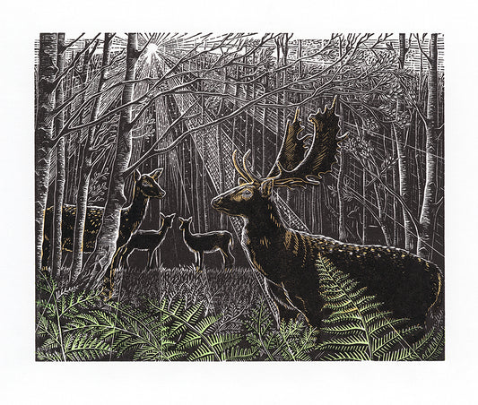 A Rangale of Deer