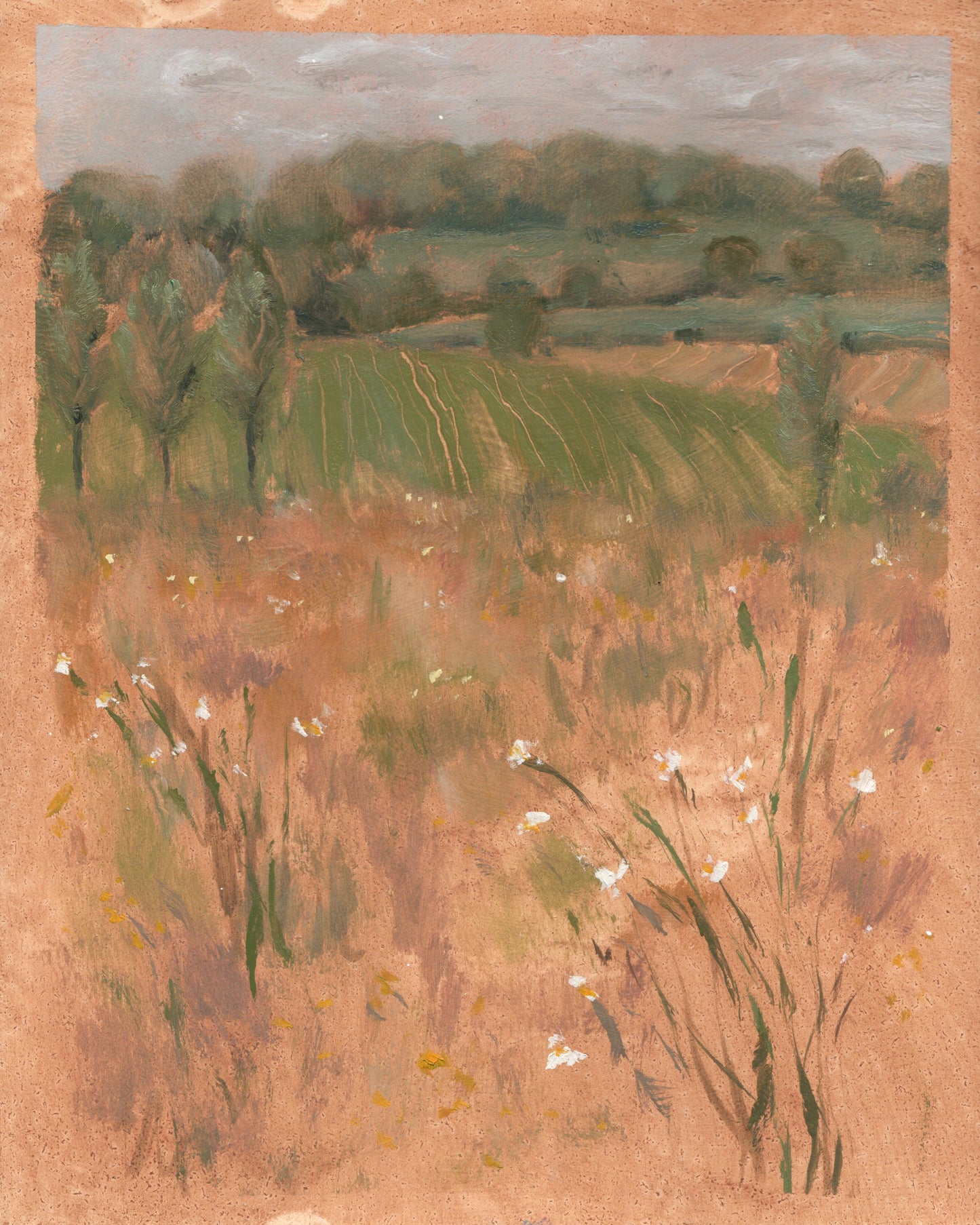 Birch Meadow