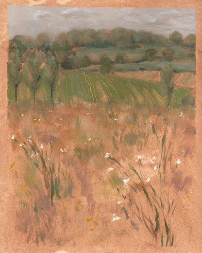 Birch Meadow