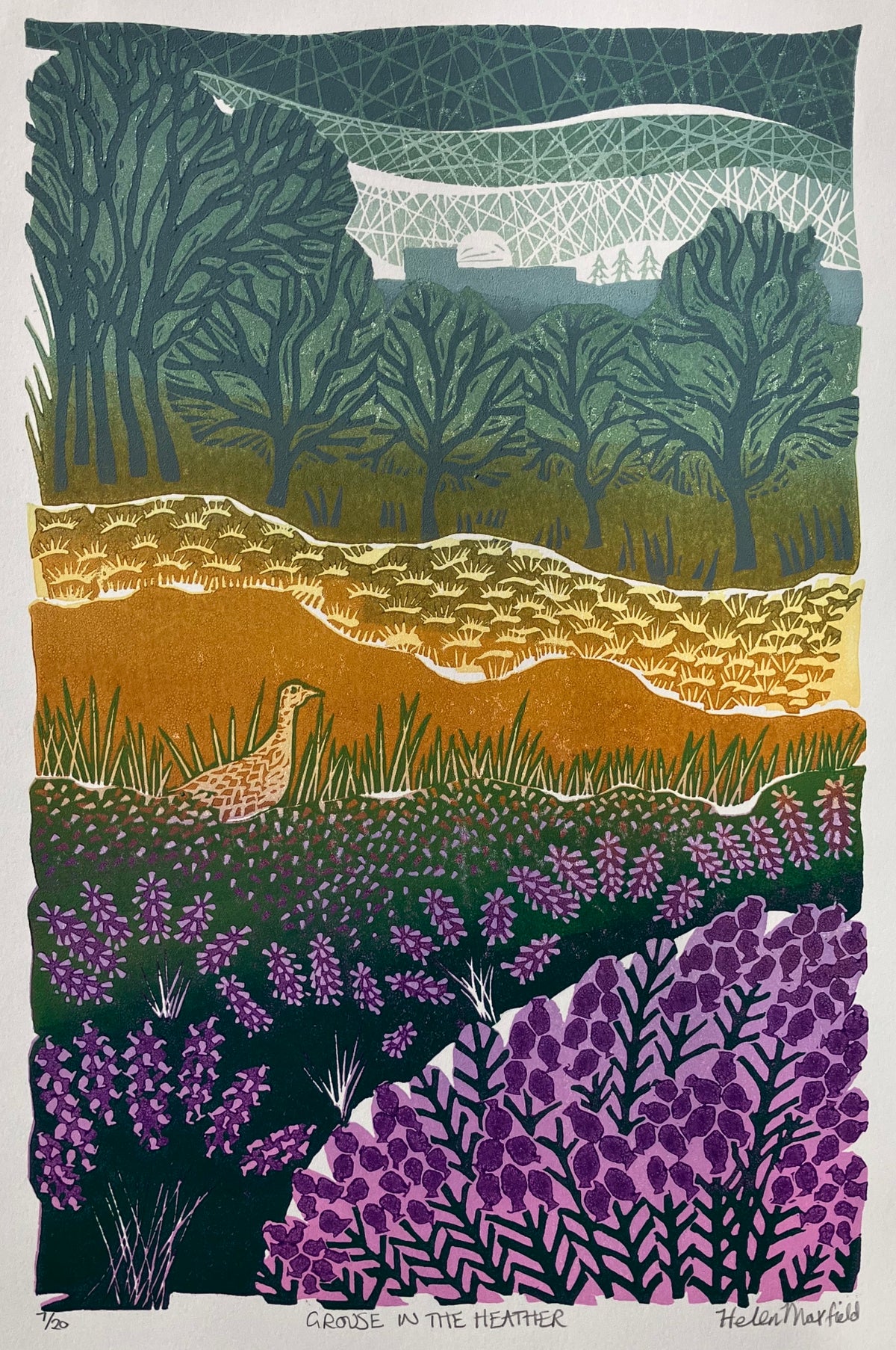 Grouse in the Heather