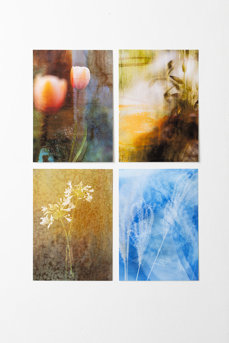 Of Light and Layers Studios