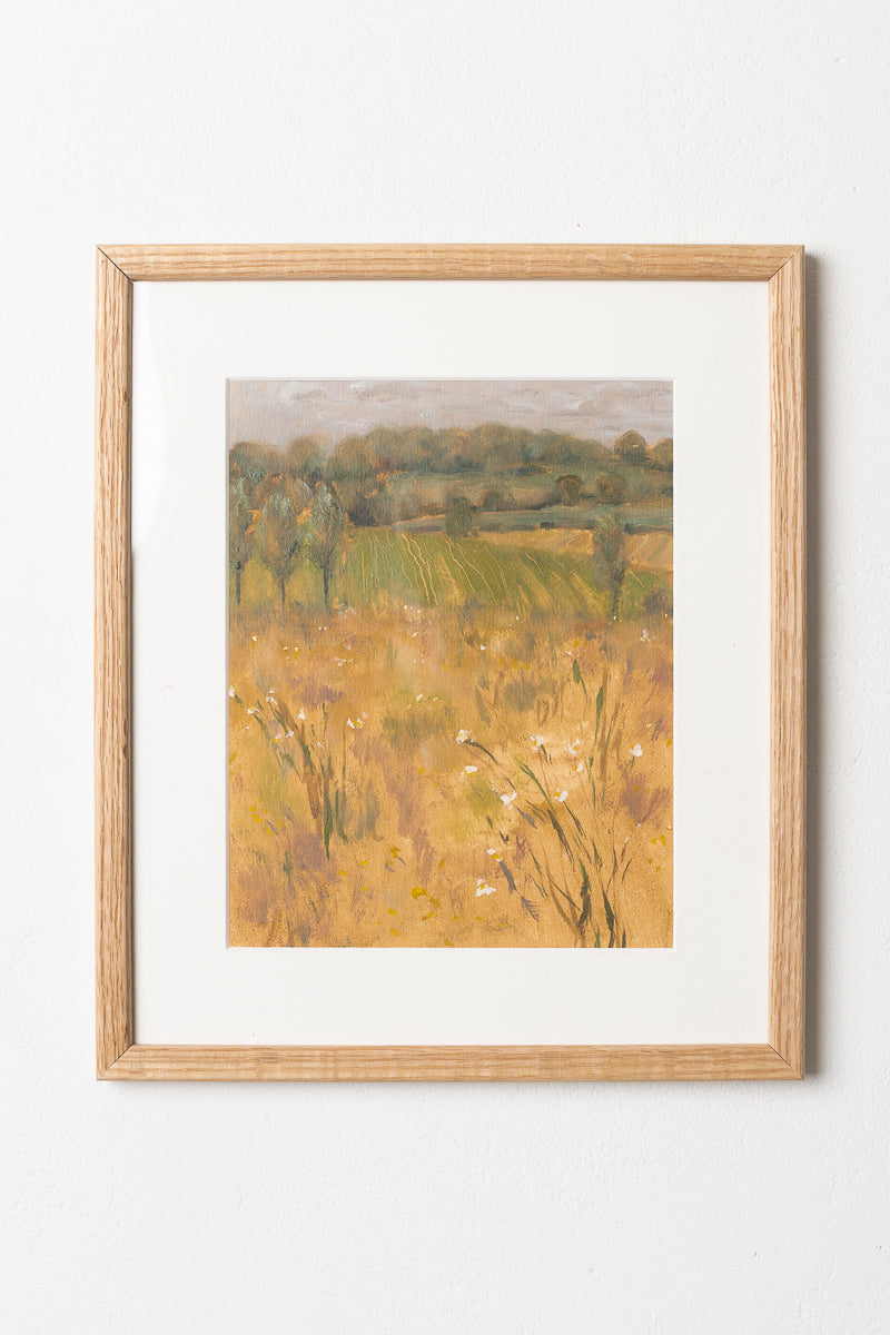 Birch Meadow