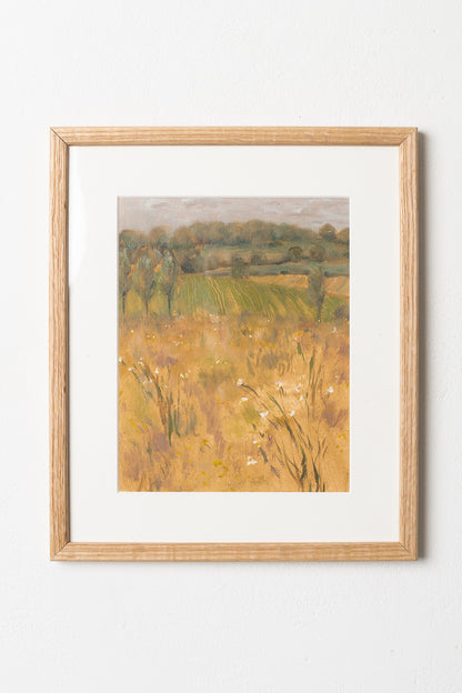 Birch Meadow