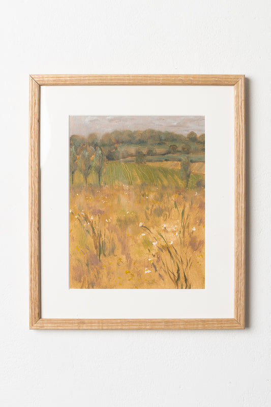 Birch Meadow