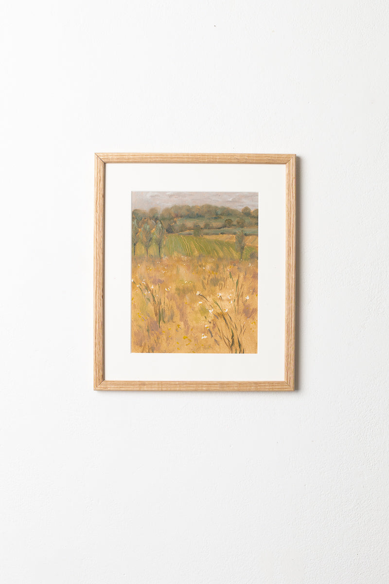 Birch Meadow