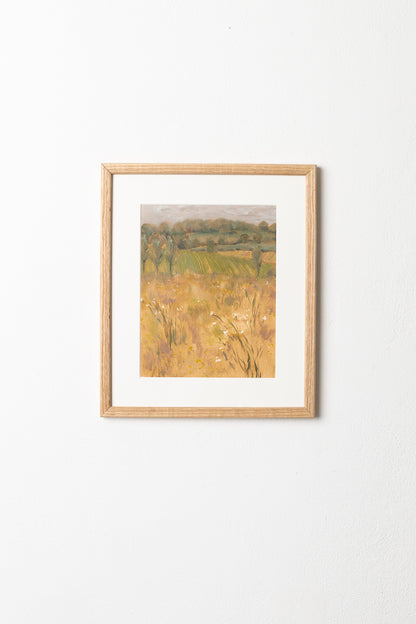 Birch Meadow
