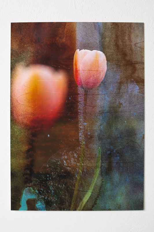 Of Light and Layers Studios