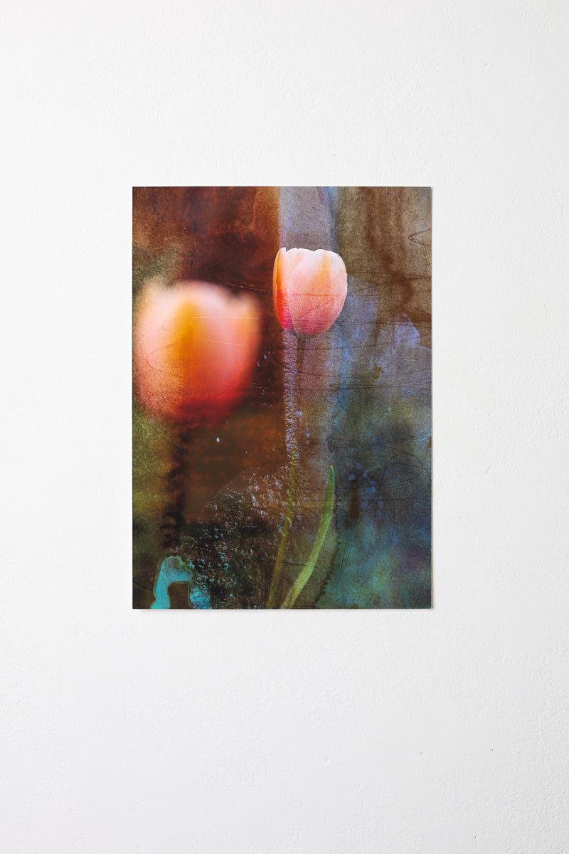Of Light and Layers Studios