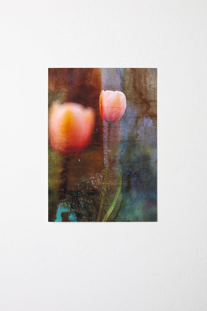 Of Light and Layers Studios