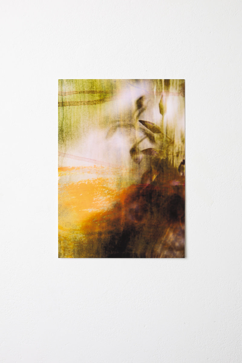 Of Light and Layers Studios