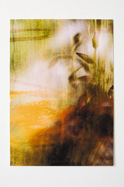 Of Light and Layers Studios