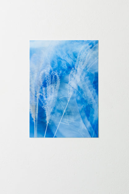 Of Light and Layers Studios