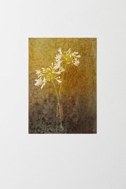 Of Light and Layers Studios