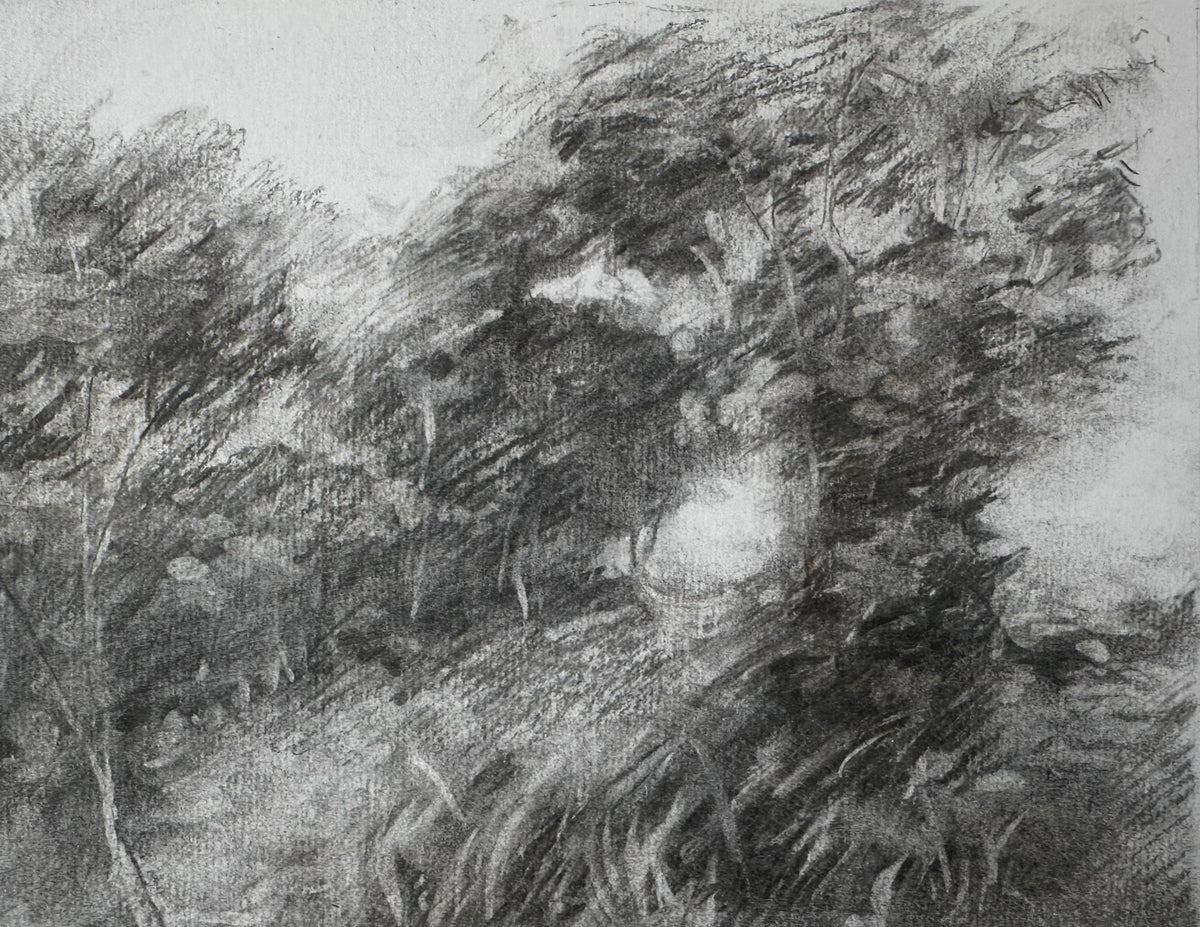 Stillness Between Trees (Study)