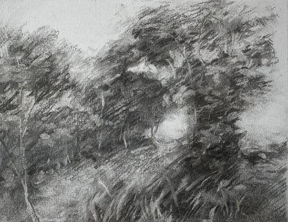 Stillness Between Trees (Study)