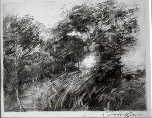 Stillness Between Trees (Study)