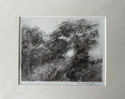 Stillness Between Trees (Study)