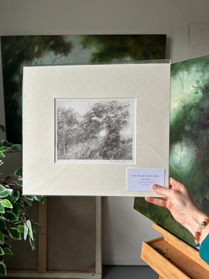 Stillness Between Trees (Study)