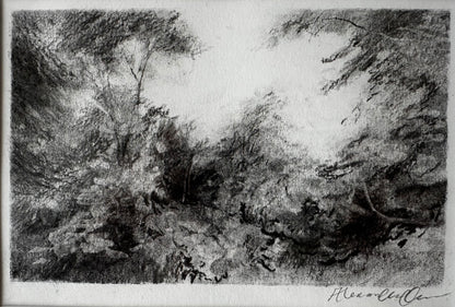 Woodland Pass