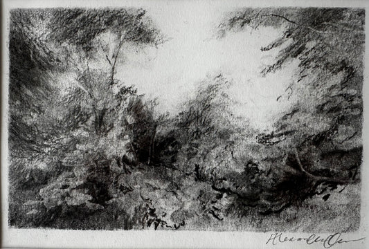 Woodland Pass